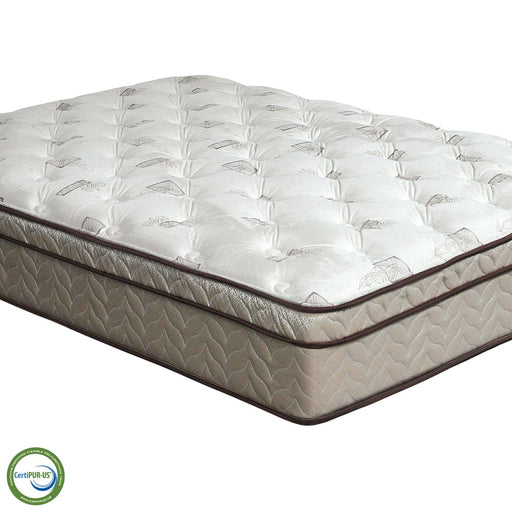 Lilium White/Brown 13" Euro Pillow Top, Queen - Olympia Furniture (Saint George, Utah)
