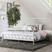 IRIA Vintage White Cal.King, E.King, & Full Bed - Olympia Furniture (Saint George, Utah)