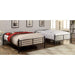 BROCKET Black Metal Full/Full Bunk Bed - Olympia Furniture (Saint George, Utah)