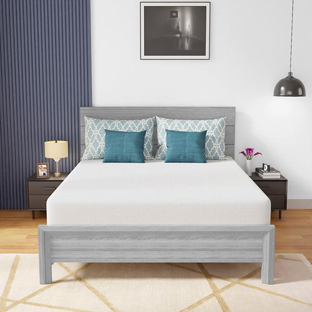Coreopsis 10" Queen Memory Foam Wave Comfort - Olympia Furniture (Saint George, Utah)