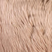 Wendy Blush 20" X 20" Pillow, Fur Blush (2/CTN) - Olympia Furniture (Saint George, Utah)
