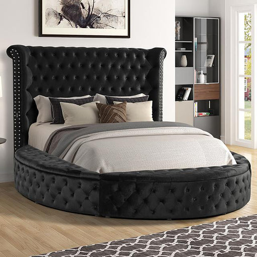 SANSOM E.King & Queen Bed, Black, Blue, & Grey - Olympia Furniture (Saint George, Utah)