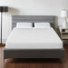 Artemisia 10" Memory Foam Mattress White - Olympia Furniture (Saint George, Utah)