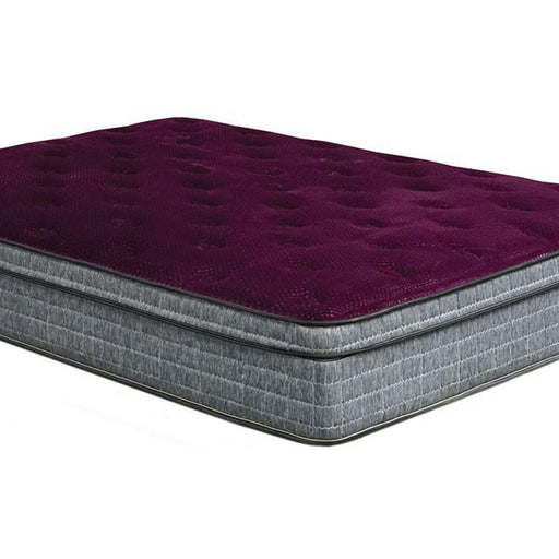 Purple/Grey 13" Euro Pillow Top Mattress Non-Flip, Full - Olympia Furniture (Saint George, Utah)