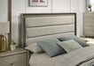 Rainier Queen Bedroom Set - Olympia Furniture (Saint George, Utah)