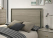 Rainier Queen Bedroom Set Gray - Olympia Furniture (Saint George, Utah)