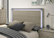 Rainier Queen Bedroom Set Gray - Olympia Furniture (Saint George, Utah)