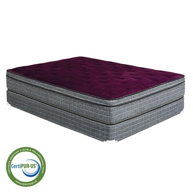 Purple/Grey 13" Euro Pillow Top Mattress Non-Flip, Full - Olympia Furniture (Saint George, Utah)
