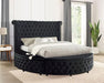 Delilah Bed Black - Olympia Furniture (Saint George, Utah)