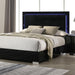 Sinistra Bed Beige, Black, White - Olympia Furniture (Saint George, Utah)