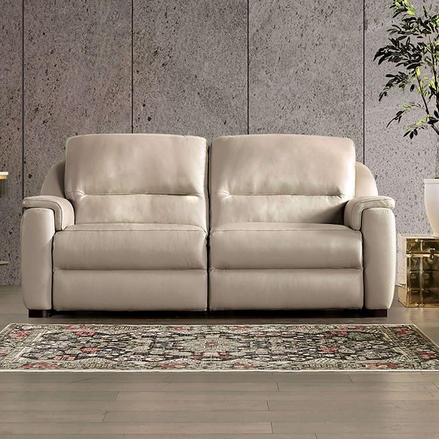 ALTAMURA Power Loveseat, Gray & Beige - Olympia Furniture (Saint George, Utah)