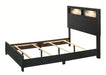 Crown Mark Furniture Cadence Queen Panel Bed in Black - Olympia Furniture (Saint George, Utah)