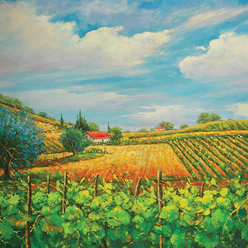 Summer In Napa Printed Canvas Painting - Olympia Furniture (Saint George, Utah)