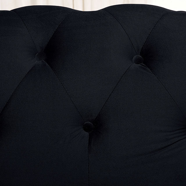 Giacomo Chair Black & Blue - Olympia Furniture (Saint George, Utah)
