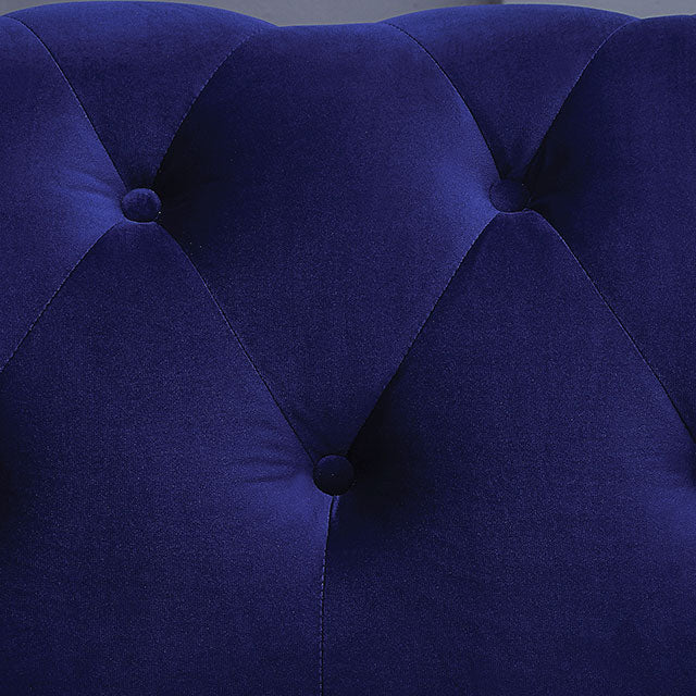 Giacomo Chair Black & Blue - Olympia Furniture (Saint George, Utah)