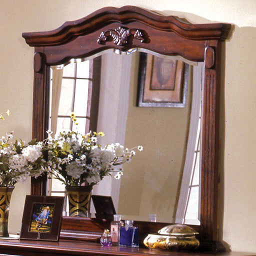 Lewisburg Mirror - Olympia Furniture (Saint George, Utah)
