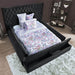 Davida Cal.King & E.King Bed - Olympia Furniture (Saint George, Utah)
