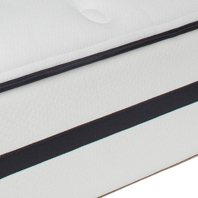 Kastel Mattress - Olympia Furniture (Saint George, Utah)
