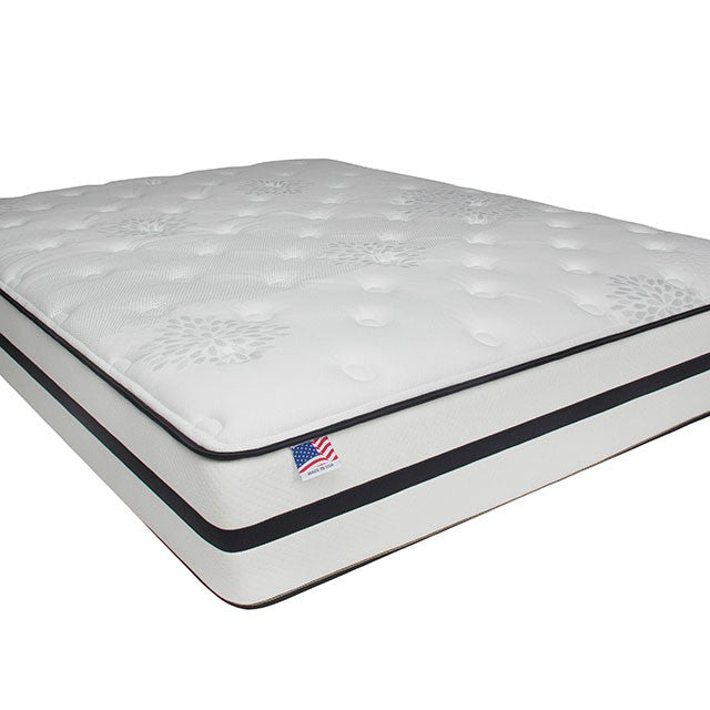 Kastel Queen Mattress - Olympia Furniture (Saint George, Utah)