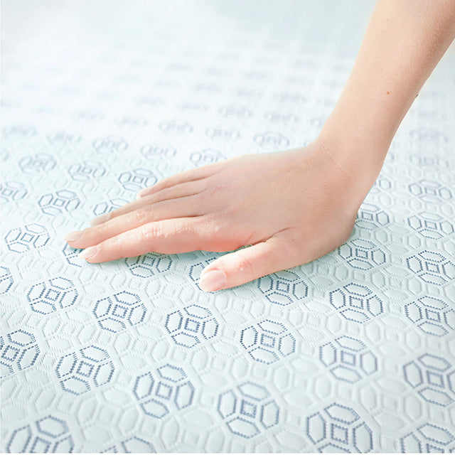 Edelweiss 6", 8", 10" & 12" Twin XL Memory Foam Mattress - Olympia Furniture (Saint George, Utah)