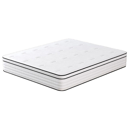 Salvia 12" Full Hybrid Pocket Coil Mattress - Olympia Furniture (Saint George, Utah)