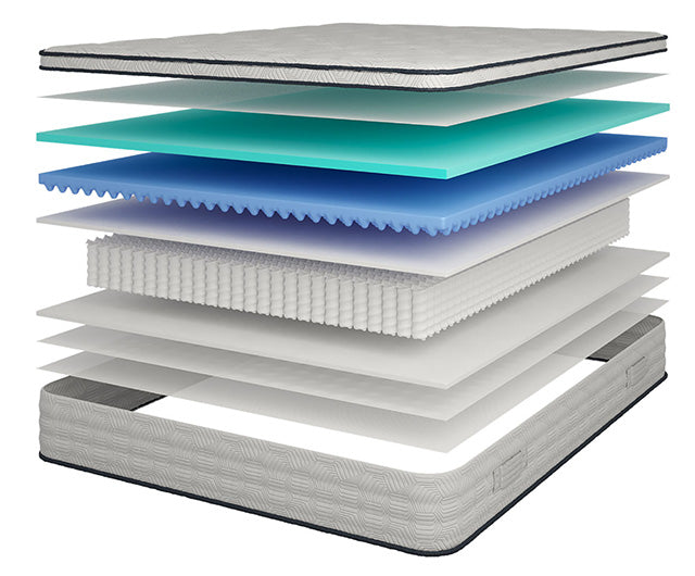 Salvia 12" Queen Hybrid Pocket Coil Mattress - Olympia Furniture (Saint George, Utah)