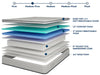 Salvia 12" Queen Hybrid Pocket Coil Mattress - Olympia Furniture (Saint George, Utah)