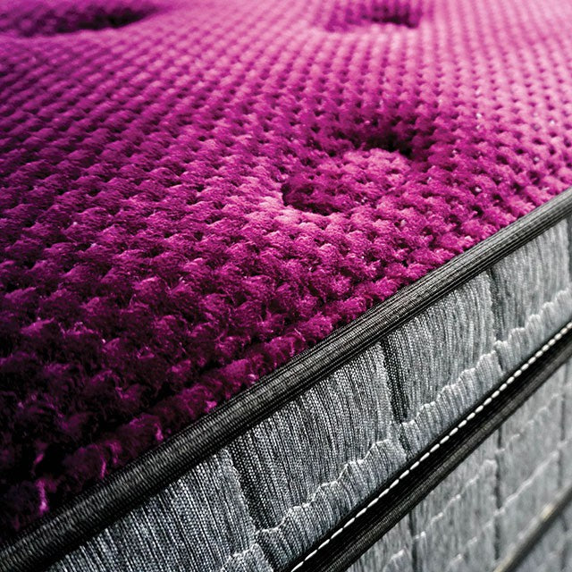 Minnetonka 13" Euro Pillow Top Mattress - Olympia Furniture (Saint George, Utah)
