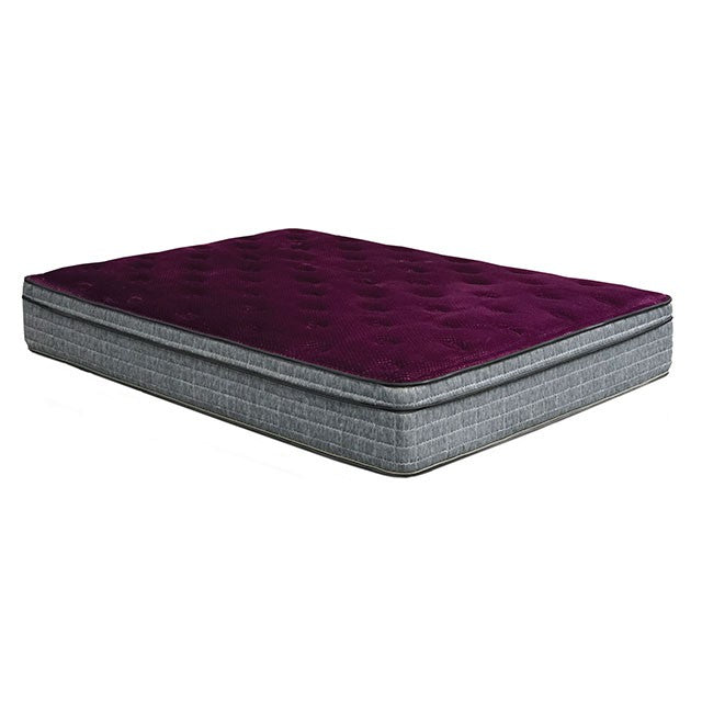 Minnetonka 13" Euro Pillow Top Mattress - Olympia Furniture (Saint George, Utah)