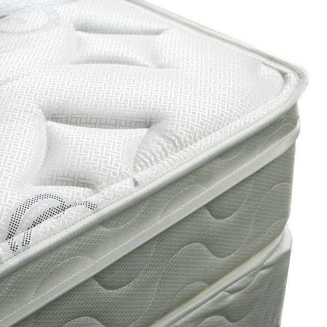 Jalen 9 Euro Top Mattress Non-Flip - Olympia Furniture (Saint George, Utah)