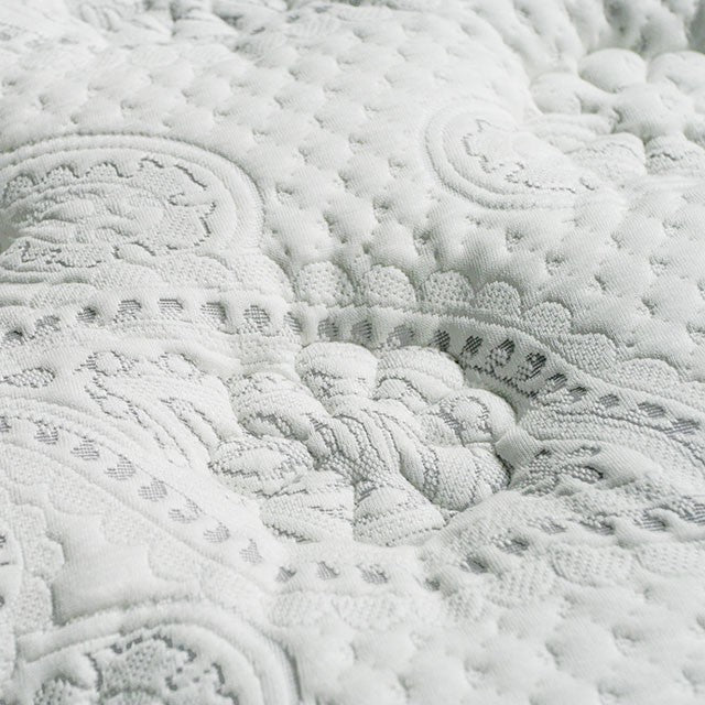 Siddalee 16 Euro Pillow Top 2.5 Gel Infused Memory Foam - Olympia Furniture (Saint George, Utah)