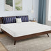 Nasturtium 8" E.King Bamboo Charcoal Infused Memory Foam - Olympia Furniture (Saint George, Utah)
