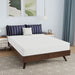 Nasturtium 8" Full Bamboo Charcoal Infused Memory Foam - Olympia Furniture (Saint George, Utah)