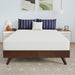 Nasturtium 8" Full Bamboo Charcoal Infused Memory Foam - Olympia Furniture (Saint George, Utah)