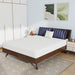 Nasturtium 8" Queen Bamboo Charcoal Infused Memory Foam - Olympia Furniture (Saint George, Utah)