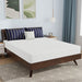 Nasturtium 8" Queen Bamboo Charcoal Infused Memory Foam - Olympia Furniture (Saint George, Utah)