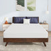 Nasturtium 8" Queen Bamboo Charcoal Infused Memory Foam - Olympia Furniture (Saint George, Utah)