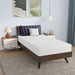 Nasturtium 8" Twin Bamboo Charcoal Infused Memory Foam - Olympia Furniture (Saint George, Utah)