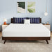 Nasturtium 10" E.King Bamboo Charcoal Infused Memory Foam - Olympia Furniture (Saint George, Utah)