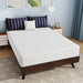 Nasturtium 10" Full Bamboo Charcoal Infused Memory Foam - Olympia Furniture (Saint George, Utah)