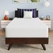 Nasturtium 10" Twin Bamboo Charcoal Infused Memory Foam - Olympia Furniture (Saint George, Utah)