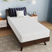Nasturtium 10" Twin Bamboo Charcoal Infused Memory Foam - Olympia Furniture (Saint George, Utah)