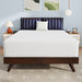Nasturtium 12" Full Bamboo Charcoal Infused Memory Foam - Olympia Furniture (Saint George, Utah)