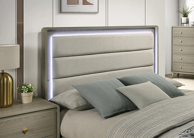 Rainier Bed