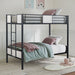 Molton Twin/Twin Metal Bunkbed - Olympia Furniture (Saint George, Utah)