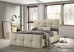 Merced Bed Gray & Ivory - Olympia Furniture (Saint George, Utah)