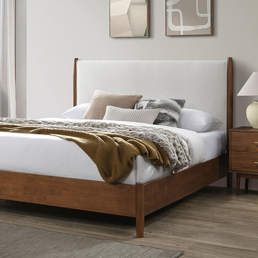 Thusis E.King, Full,& Queen Bed - Olympia Furniture (Saint George, Utah)