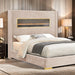 Danvers Bed - Olympia Furniture (Saint George, Utah)