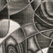 SIVAS 8' X 10' Area Rug - Olympia Furniture (Saint George, Utah)